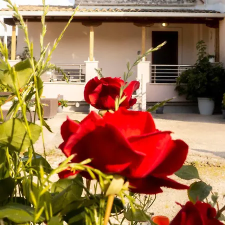 Сasa de vacaciones Exochi Family House Kalligoni